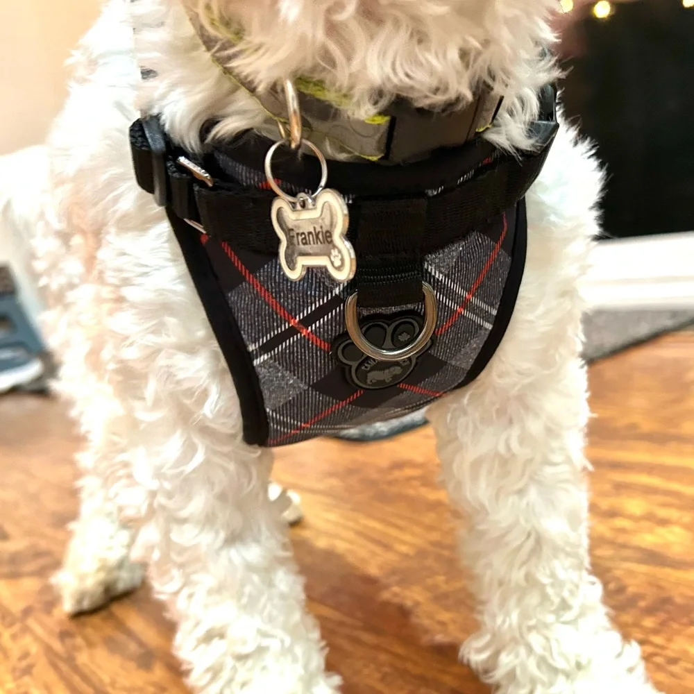 Canada Pooch Everything Plaid Dog Durable Dog Harness - Black, Gray, and Red